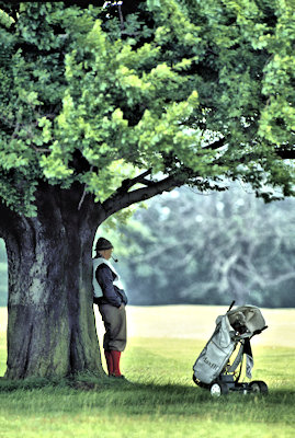 golf caddy sheltering in the rain