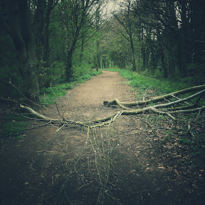 example of seeing a picture, a mundane scene.