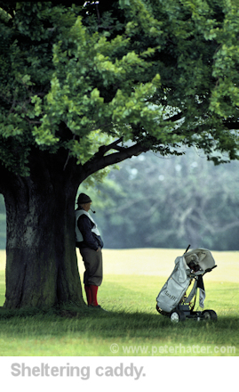 a golf caddy shelters under a tree from the rain.