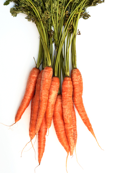 white background carrots