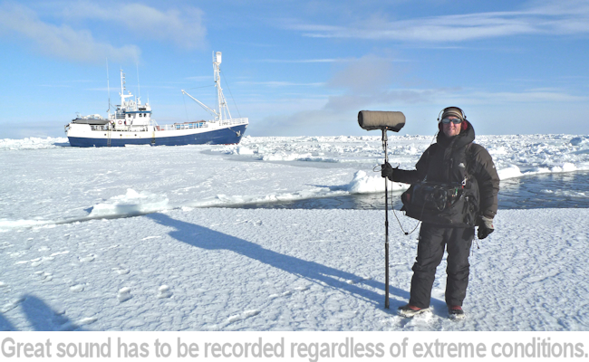 russell on an iceflow